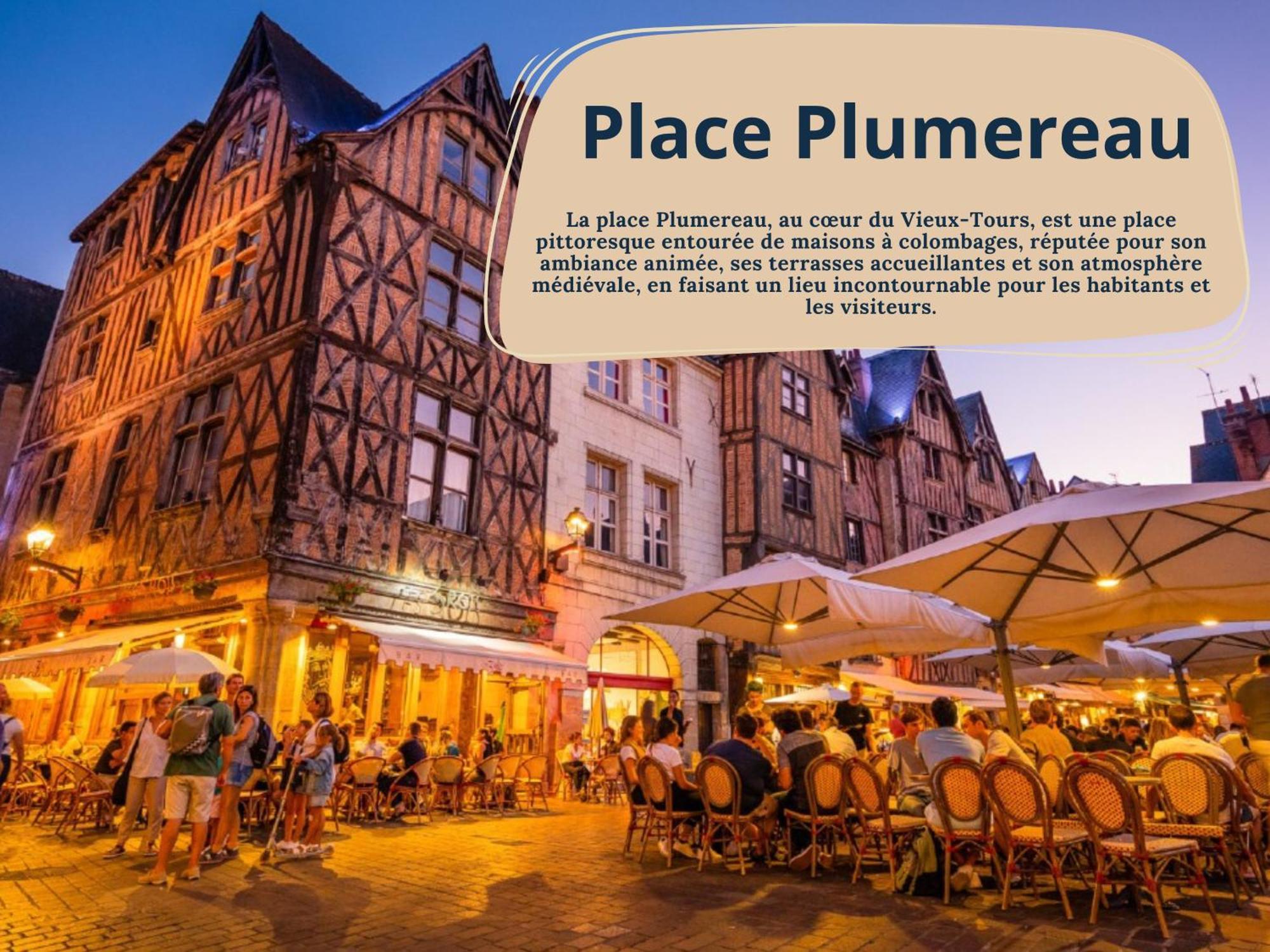 Begonia - Place Plumereau Tours Dış mekan fotoğraf